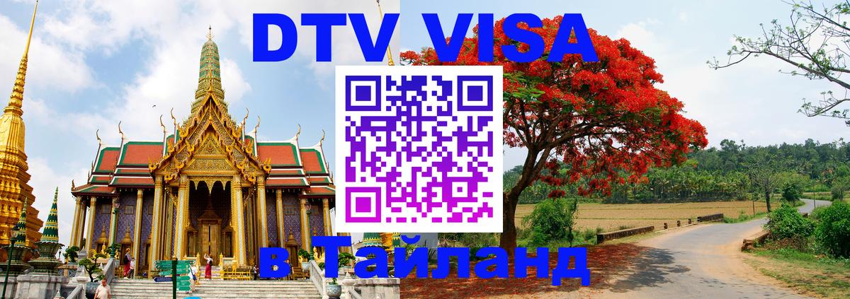 Сколько стоит DTV виза — актуальные цены, оформление даже без документов - 14.12.2025 